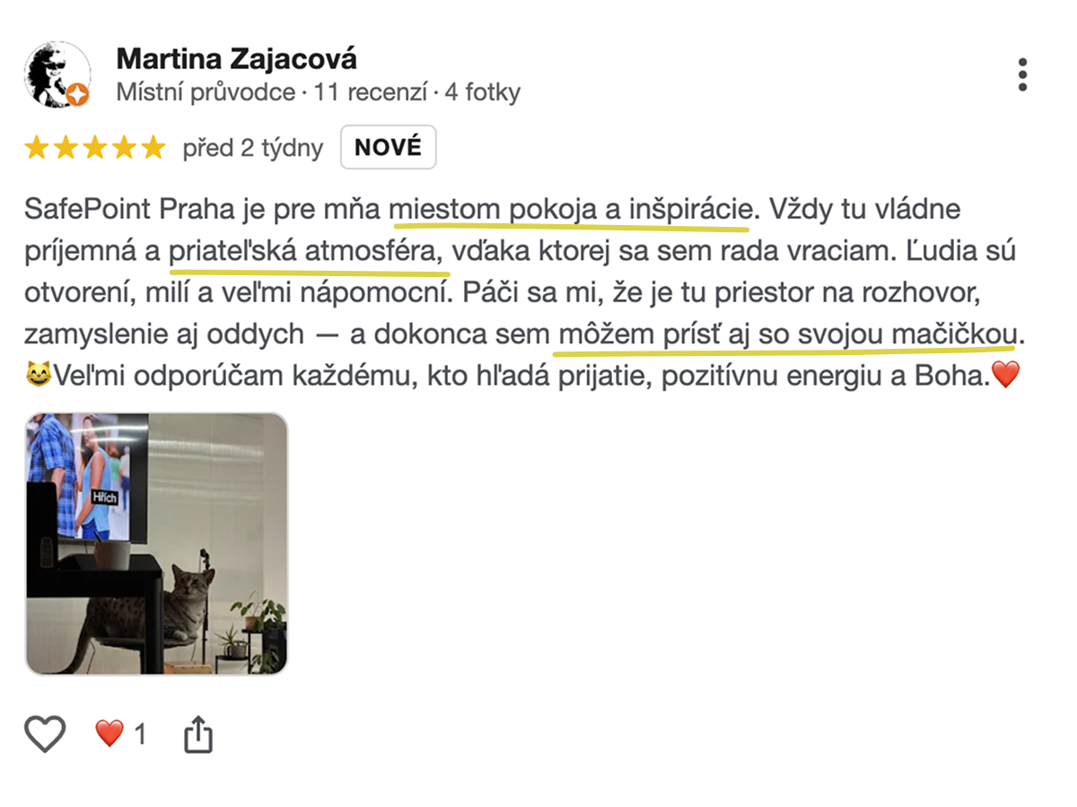 Google recenze SafePoint